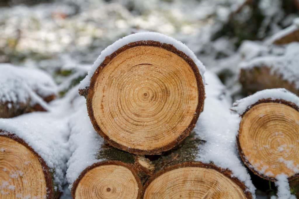 Unsplit firewood stack