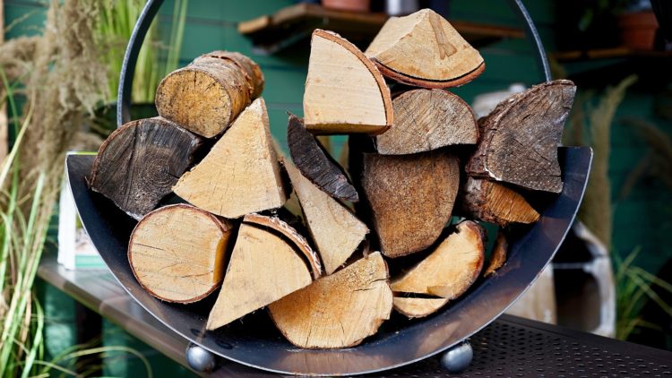 Can You Bring Your Own Firewood Camping Ben Gordon Outdoors